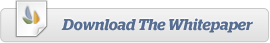Download Iterasi's Web Archiving Whitepaper: Protect your web, all you need to know about web archiving in 2010